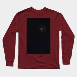 Eagle Eyes Long Sleeve T-Shirt